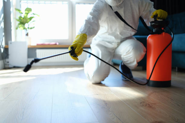 Reliable Odor Removal contractor in Lemon Cove, CA by Crime Scene Cleaner Online